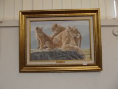 Lazy afternoon 11 by Stephen Gayford, with COA