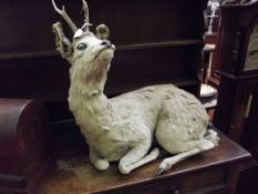 Taxidermy deer