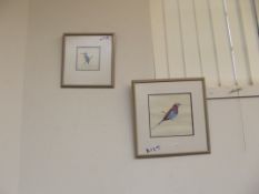 2 signed pictures birds