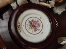 18th century wall plate, hand painted with moths a