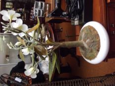 Imitation display plant