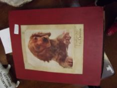 Album containing early Christmas and Birthday card