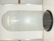 Very large glass dome on a wooden plinth 82x40cm