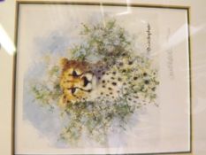 David Shepard leopard print Limited edition signed
