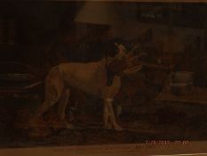 An old print celebrated pointer