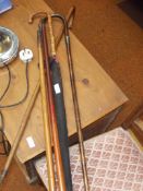 3 walking sticks and an umbrella