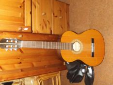 Acoustic guitar and case