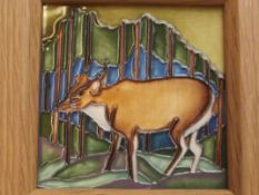Framed Moorcroft plaque, trial piece, tube lined d