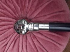 Walking stick with a skull handle