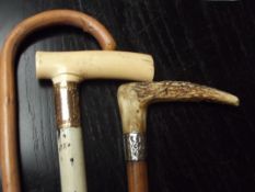 3 walking canes