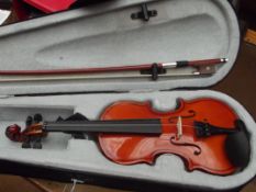 Cased violin