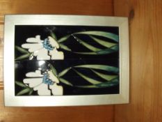 Moorcroft Plaque, Hayward
