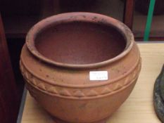 Terracotta plant pot