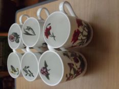 6 Hydrangea mugs