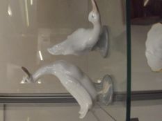 Two Nao geese