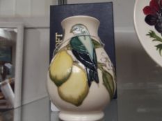 Moorcroft vase lemons and parrots design, boxed