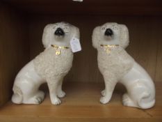 Gladstone pottery dogs