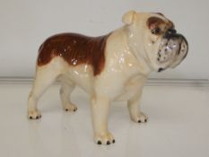 Beswick Bulldog 'Ch Bashford British Mascot' heigh