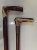 Two antler handled walking sticks
