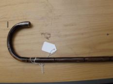 Walking cane