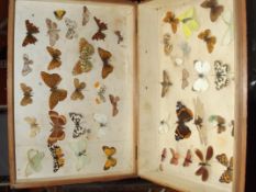 Case containing approx 45 mounted butterfly and ot