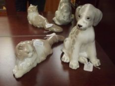 Nao cat and Nao puppy