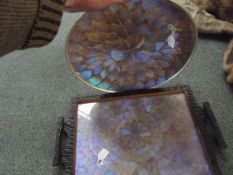 Butterfly wing tray together with a butterfly wing