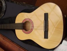 Eleca acoustic guitar