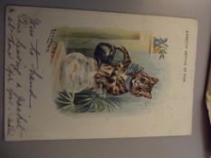 1903 Louis Wain postcard 'A Pretty Kettle of Fish'