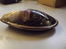 Copper and muscle shell snuff box, crack to shell