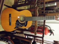 Acoustic guitar