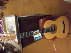 Acoustic guitar with soft case