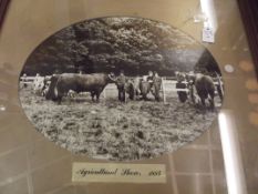 Agriculture show 1884 photograph