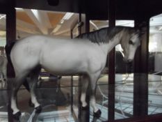 Beswick horse with matt finish