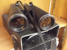 Cased set of binoculars