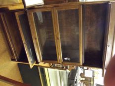 Globe Wernicke style book case