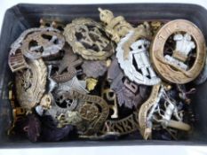 A Quantity of Military Cap/Collar Badges, including R.F.C Worcester Yeomanry etc, approx 70 badges