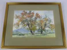 A Collection of 20th Century Paintings, including floral studies, woodland scenes, still life etc.(