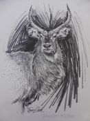 Tony Cross 20th Century, a quantity of limited edition wild life prints including cheetah, lion,