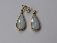 A Pair of 9 ct Gold Tear Form Opal Drop Earrings, approx 20 x 10 mm, approx total wt 3.7 gms.