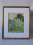 Alfred Parsons RA (English) 1847-1920 Watercolour, depicting 'Blue and White Delphinium', approx