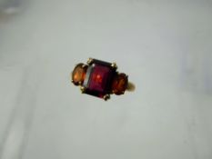 A Lady's Gems 9 ct Garnet Ring, the centre octagon garnet 9 x 7 mm, approx 2.43 ct, side garnets 6 x
