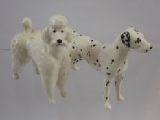 A Beswick Figure of a Dalmatian, together with a porcelain figure of a French poodle. (2)