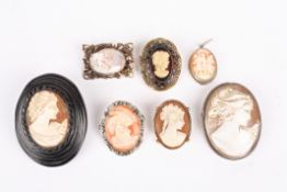 A collection of seven assorted Cameo's formed as brooches. Condition: