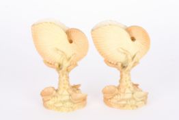 A pair of Edwardian Royal Worcester blush ivory nautilus shaped vases c.1907 naturalistically