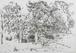 Sarah Medway (20th century) British Hampstead Heath, a pencil sketch of trees, signed and dated 12.