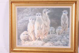 A framed picture of a Meercat family  along with a framed Lion picture,