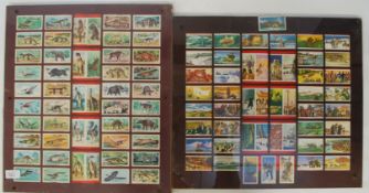 A pair of mounted and glazed collection of Brook Bond tea cards