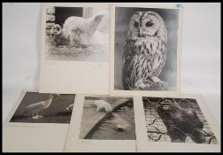 A collection of large vintage and retro