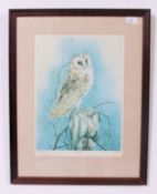 A framed and glazed print of a Barn Owl,